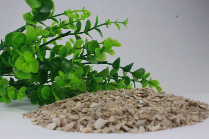 鴿子貝殼粉 鴿子貝殼粉